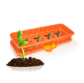 Грядки