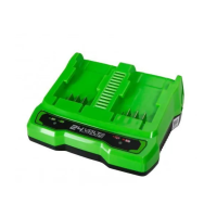 Зарядное устройство на 2 аккумулятора Greenworks G24C 24V (4 A)