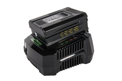 Зарядное устройство Greenworks G82C 82V (1,9 А)