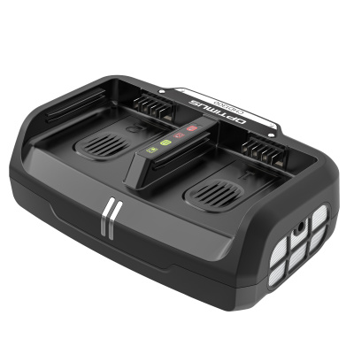 Ультрабыстрое двухпортовое зарядное устройство Greenworks CHD1300 82V 2960507