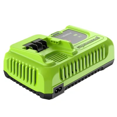 Ультрабыстрое зарядное устройство Greenworks G24C8 24V 2958707 (8 A)