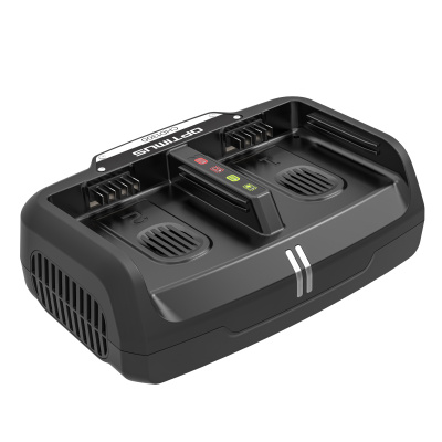 Ультрабыстрое двухпортовое зарядное устройство Greenworks CHD1300 82V 2960507