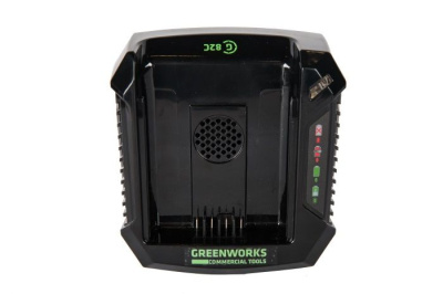 Зарядное устройство Greenworks G82C 82V (1,9 А)