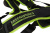 Жилет-держатель для аккумуляторов Greenworks 82V