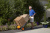 Садовая тележка WORX WG050 Aerocart Садовая тележка WORX WG050 Aerocart